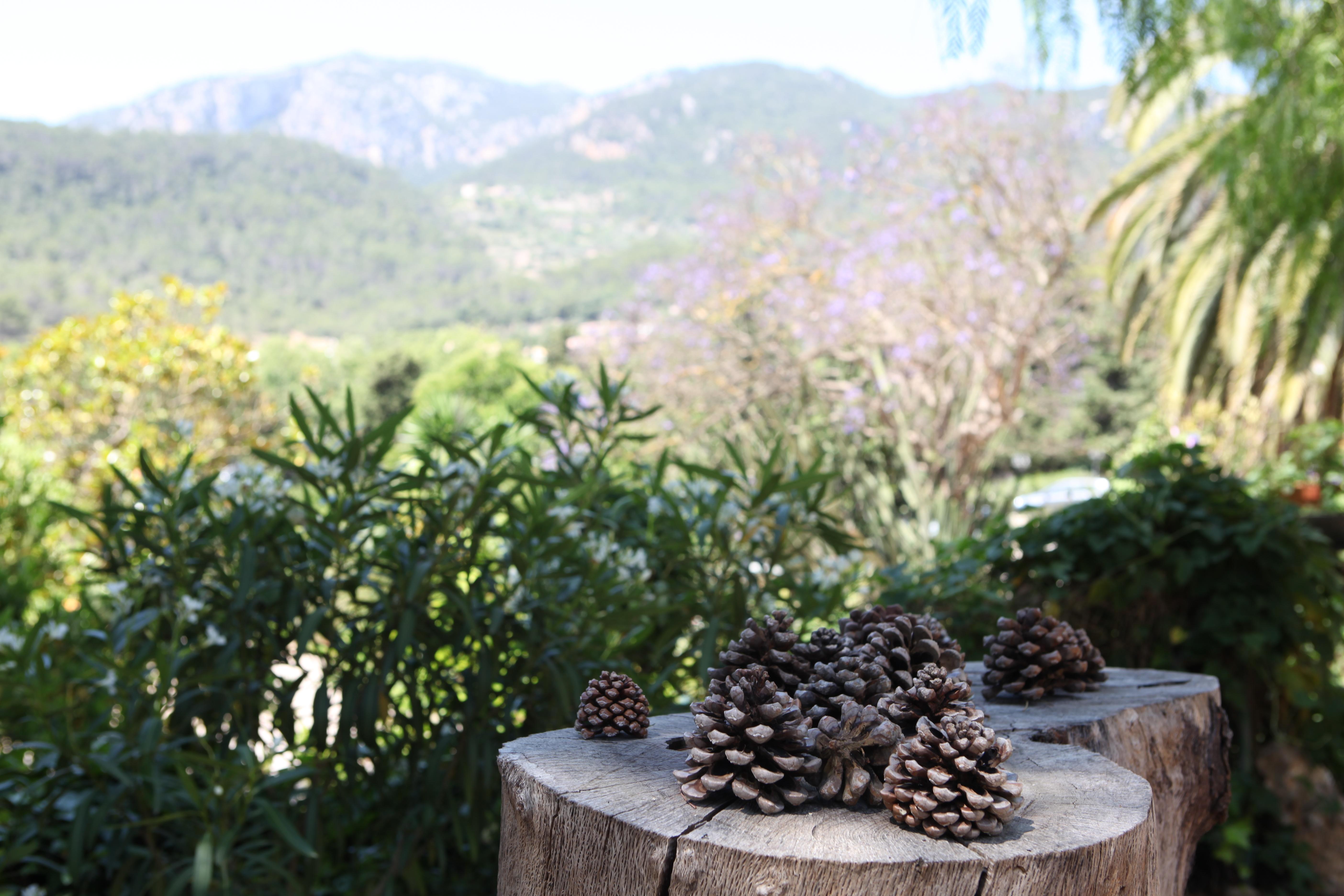 אספורלס Agroturismo Son Galceran (Adults Only) מראה חיצוני תמונה