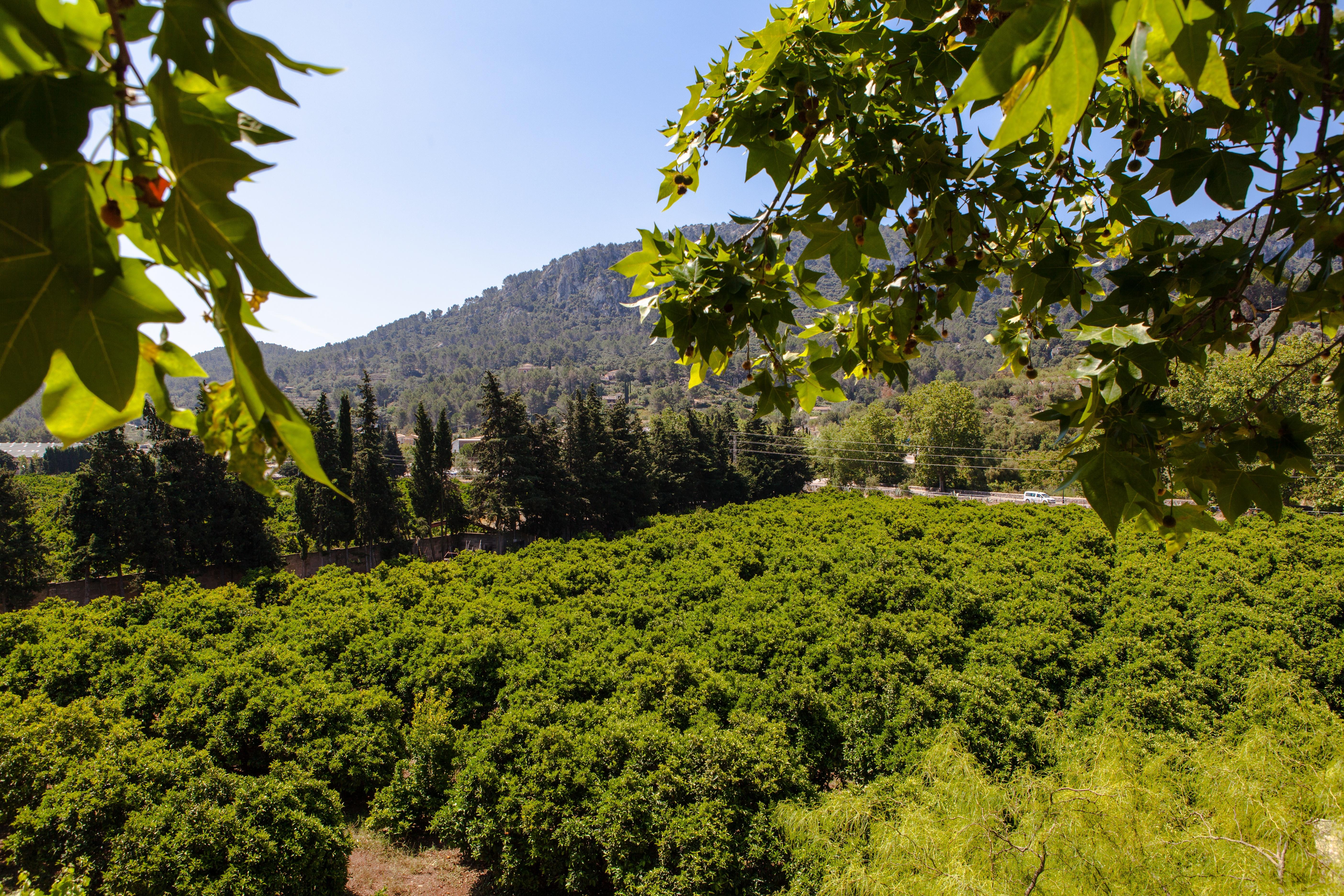 אספורלס Agroturismo Son Galceran (Adults Only) מראה חיצוני תמונה